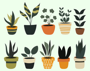 Hand drawn potted houseplants