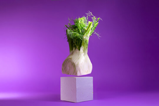 Conceptual fennel cube hovering over a cube against a purple background