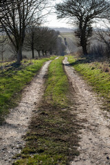 Farm track through countryside in winter, East Garston, Berkshire, England, United Kingdom, Europe