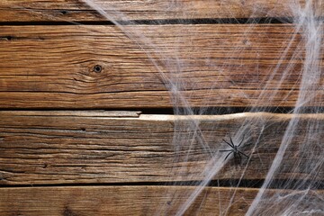 Cobweb and spider on wooden surface, top view. Space for text