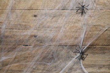 Cobweb and spiders on wooden surface, top view