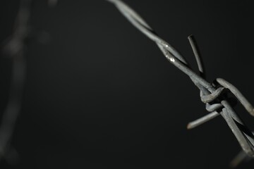 Obraz premium Metal barbed wire on dark grey background, closeup. Space for text
