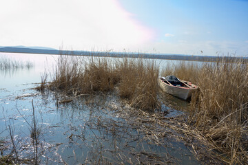 Wooden old white boat dinghy among the reeds in winter by the lake. Igneada national park, Mert...