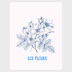 Rose flower vector illustration. Poster design - 741730822