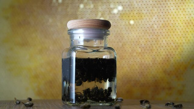 Glass bottle of tincture from dead bees in vodka on a background of honeycombs, close up, rotates. Organic phytoconcentrate tincture of bee podmore, natural beekeeping product, apitherapy