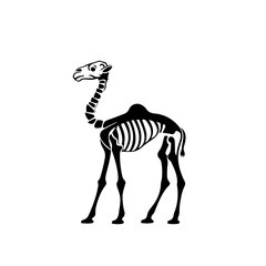 Camel Skeleton - obrazy, fototapety, plakaty