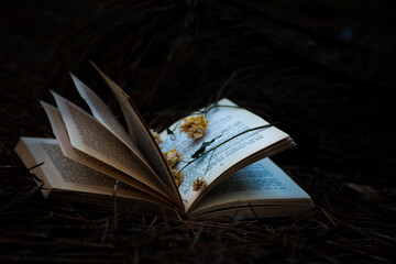 old book in forest