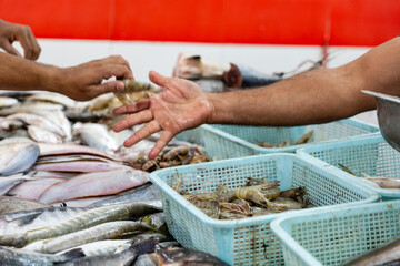 Fresh fish for sale at a seafood market in the city