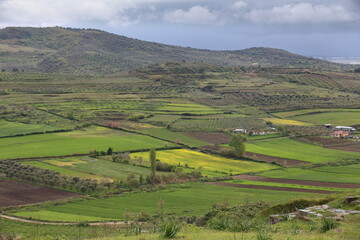 Farmlands to the southwest of the city walls made up of meadows and olive orchards dotted with farmhouses. Apollonia-Albania-117