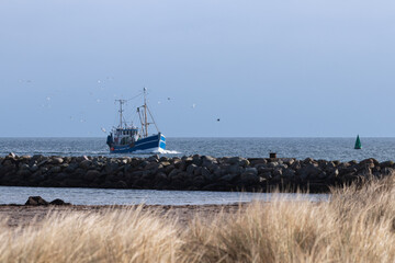 Fisch Kutter mit Möwen an der Ostsee, Küsten Fischerei