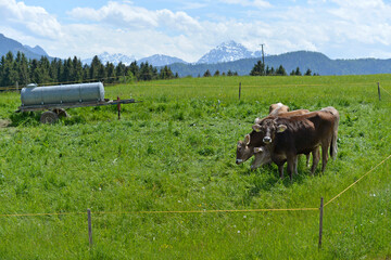 Allgäu Lanschaft
