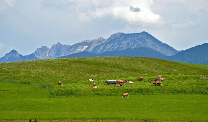 Allgäu Lanschaft