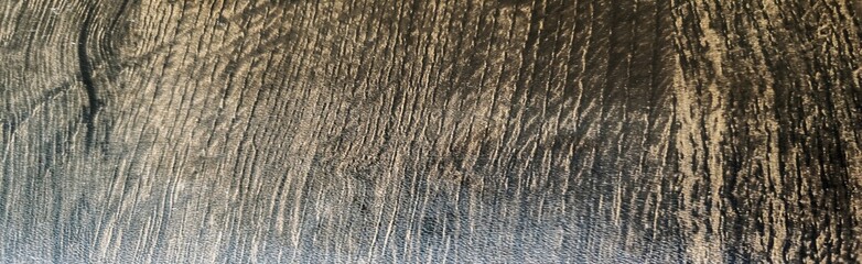 close up of a tree