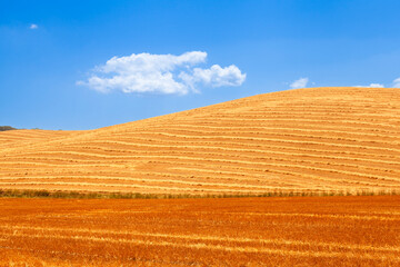 A rustic panorama: rolling hills and golden harvested fields - 741752258