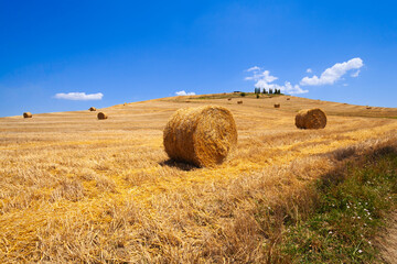 Sienese countryside: golden fields, picturesque farmhouse, and rural beauty - 741752271