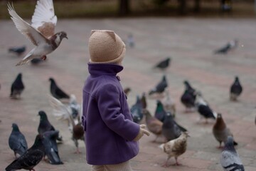 A small child in a purple coat and beige hat surrounded by pigeons