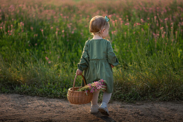 A little girl in a cotton green dress and beige shoes with a bow on her head walks along a dirt road, carries alfalfa flowers in a brown wicker basket against the backdrop of a pink field in the summe