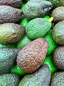 avocado