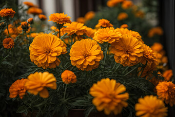 Beautiful Yellow Pot marigold Flower against Green Leaves generative AI image.
