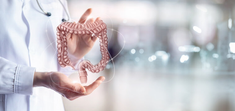 Concept of the treatment and diagnosis of the colon .