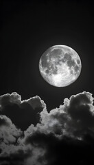 Fototapeta na wymiar Full Moon Dark