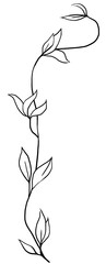 Hand drawn twig with leaves, black outlines, isolated illustration, wedding stationery element
