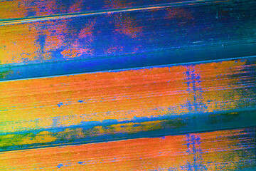 Obraz premium Iridescent chromatic hologram abstract background in orange and blue