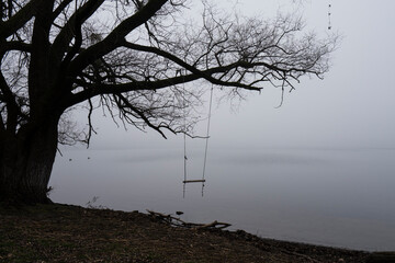 Silhouette of a tree with swing  with misty foggy view onto a lake