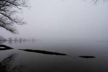 misty view onto a foggyx lake with a trunk looking like a giant snake