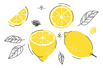 Tropical set with yellow lemons, lemon slices, leaves. Vector illustration isolated on white for banners, cards, flyers, product design, lemon logo, social media wallpapers, etc.