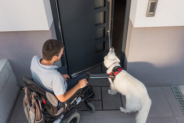 Assistance dog helping a man in an electric wheelchair leave the home by closing the door. Mobility service and support dogs concept.