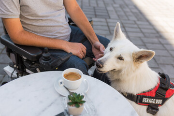 Man with disability outside in a city with his service dog using electric wheelchair.