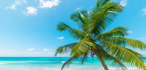 Crédence de cuisine en verre imprimé Anse Source D'Agent, île de La Digue, Seychelles Turquoise sea and palm trees in a tropical beach