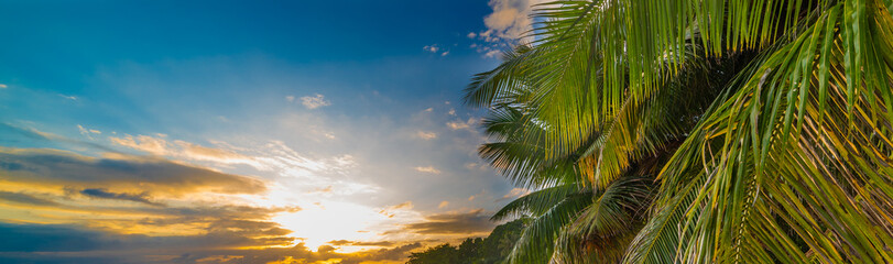 Palm trees under an orange and blue sky in a tropical beach at sunset - 741795859
