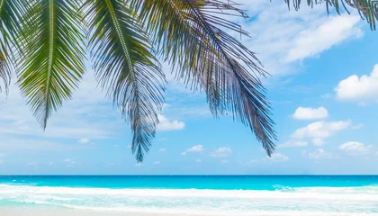 Crédence de cuisine en verre imprimé Anse Source D'Agent, île de La Digue, Seychelles Blue sea and palm trees in a tropical beach