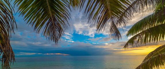 Palm trees by the sea at sunset - 741795877
