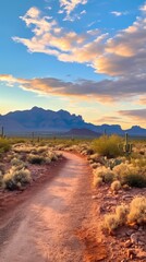 A dirt road winds through a desert landscape with mountains in the distance
