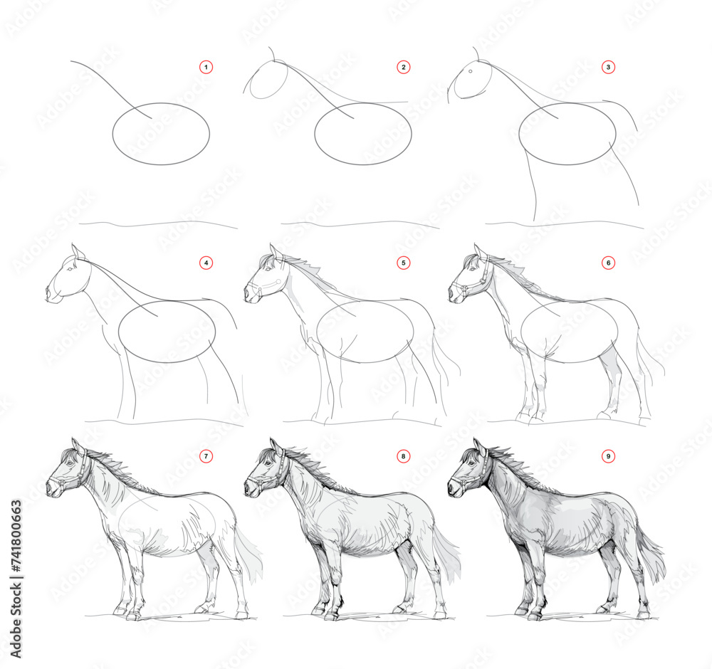 Wall mural page shows how to learn to draw from life sketch a horse. pencil drawing lessons. educational page f