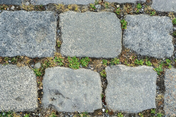 Fragment of a sidewalk paved with granite stone, with grass between the paving stones, for use as...