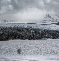 Skaftafellsjokull glacier, Iceland. Glacier tongue slides from the Vatnajokull icecap or Vatna...