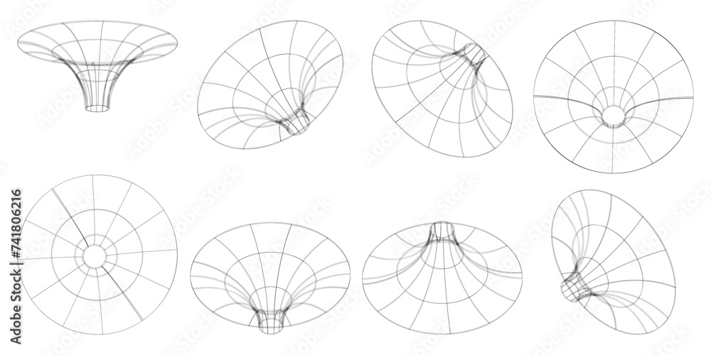Wall mural set of wireframe geometric shapes in different shapes on a white background. geometric shapes from t