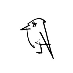 Bird. Hand drawn graphic vector. Contour lines pencil drawing.