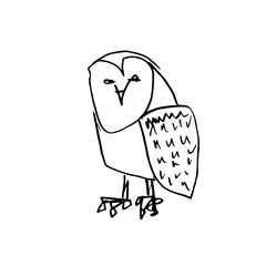 Owl. Hand drawn graphic vector. Contour lines pencil drawing.
