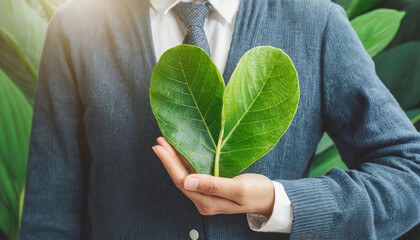 Green Energy, Renewable and Sustainable Resources. Environmental and Ecology Care Concept. Close up of Hand Holding a Heart Shape Green Leaf
