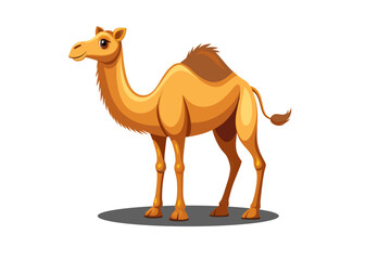 Camel vector isolated