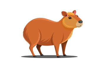 Capybara Isolated. 