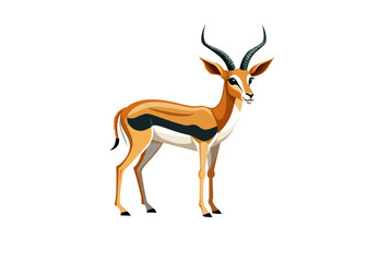 Naklejka na ściany i meble Springbok Deer isolated