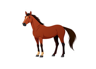 Obraz premium Horse Isolated. 