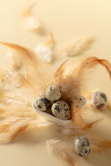 Quail eggs and feathers on a yellow background.