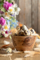 Easter composition with quail eggs, feathers, and spring flowers on a old wooden table.